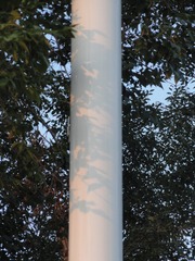 1000025324