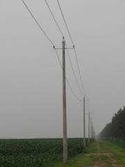 1000021673