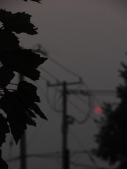 1000021572
