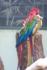 DSC05365.jpg