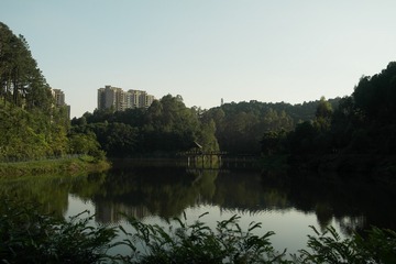 SAM_3065