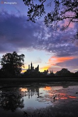 DSC_5130.jpg