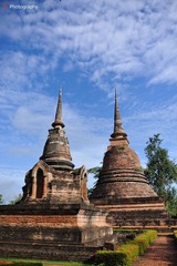DSC_5206.jpg