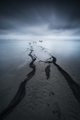 海滩的渔网