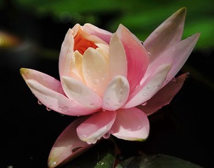 DSC_3369.JPG