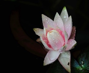 DSC_3374.JPG