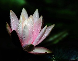 DSC_3377.JPG