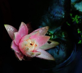 DSC_3380.JPG