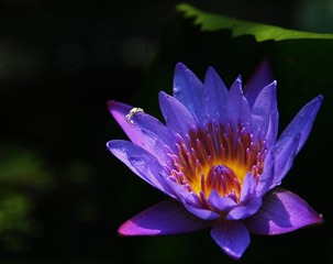 DSC_4683.jpg