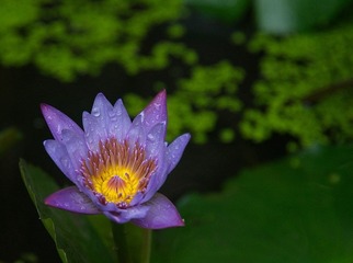 DSC_4790.jpg