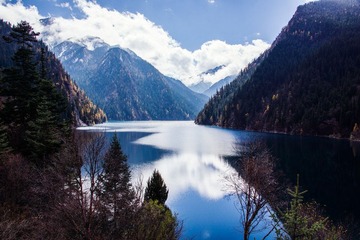 _DSC1101.jpg