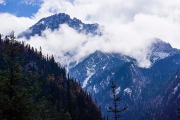 _DSC1104.jpg