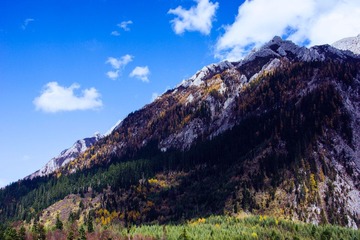 _DSC1109.jpg