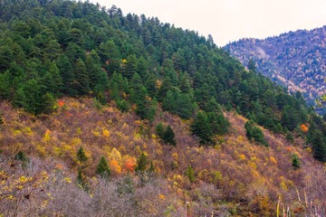 _DSC1133.jpg