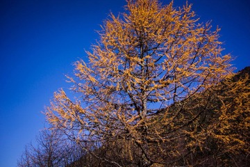 _DSC1202.jpg
