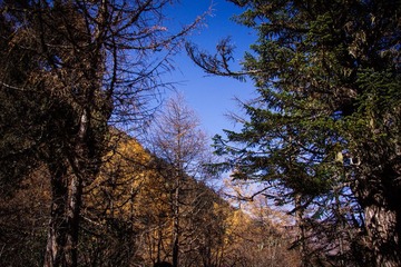 _DSC1204.jpg