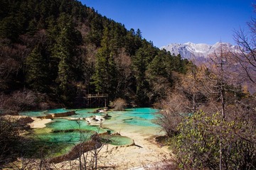 _DSC1213.jpg