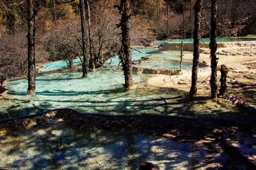 _DSC1215.jpg