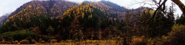 _DSC1017.jpg
