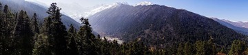 _DSC1159.jpg