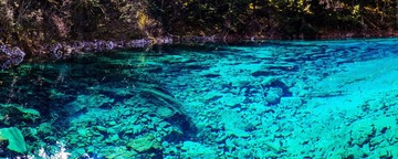_DSC1118.jpg