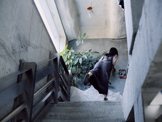 _DSF8677