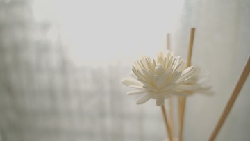 997004