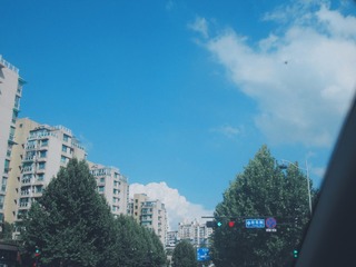 C0B5C856-737F-4894-91D7-6CF08EAB974D/L0/001
