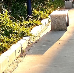 225084