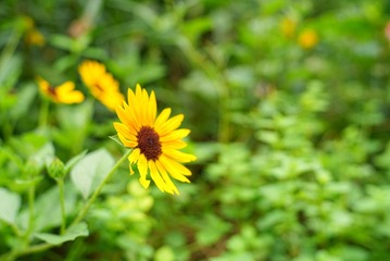 1FB600CA-C7C2-4176-AE77-D9FB18CA4B2D/L0/001