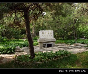 DSCN2766.jpg