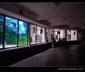 DSCN2969.jpg