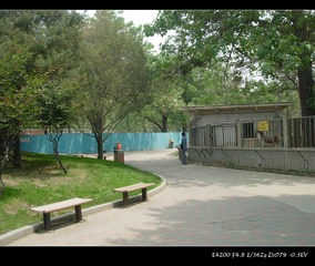 DSCN2986.jpg