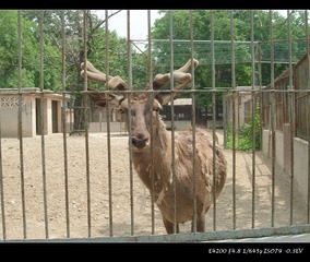 DSCN2991.jpg
