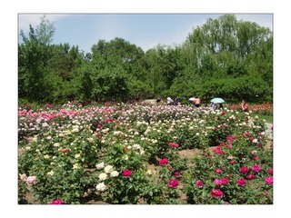 DSCN3188.jpg