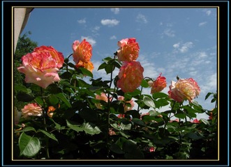 DSCN3036.jpg