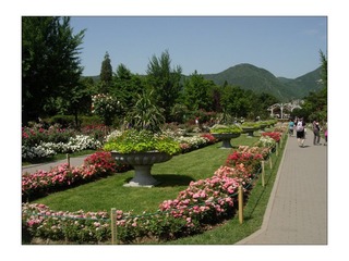 DSCN3068.jpg