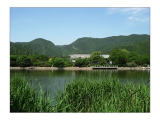 DSCN3147.jpg