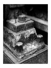 DSCN3310.jpg