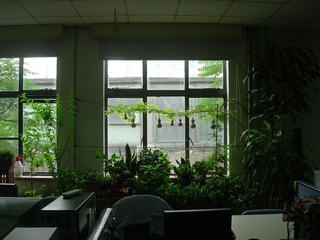 DSCN3659_副本.jpg