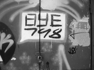 image233.jpg