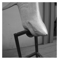 DSCN4075.jpg