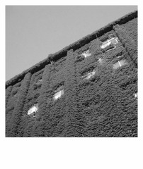 DSCN4081.jpg