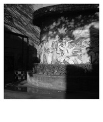 DSCN4084.jpg
