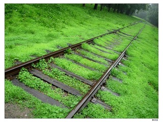 DSCN4413.jpg