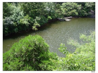 DSCN4646.jpg