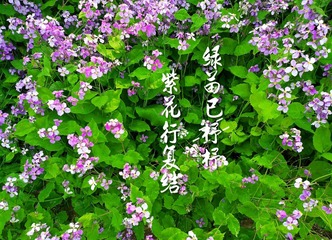 680