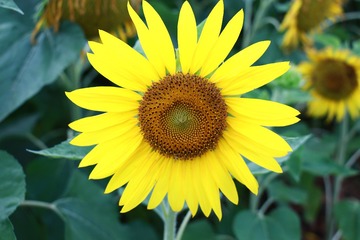 D70248A8-79B6-4A18-9D8C-C781297ADE70/L0/001