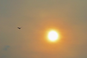 915791FE-9E06-4C30-AE42-6E37B366A076/L0/001