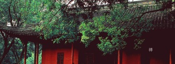 DSC_0120_634qq.jpg